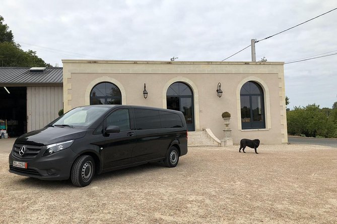 Private Transfer From Beauvais Airport to Disneyland or Back - Inclusions