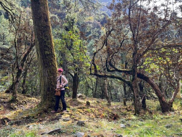A 10-Day Trek to Langtang: Nature, Culture, and Adventure - Safety and Health Considerations