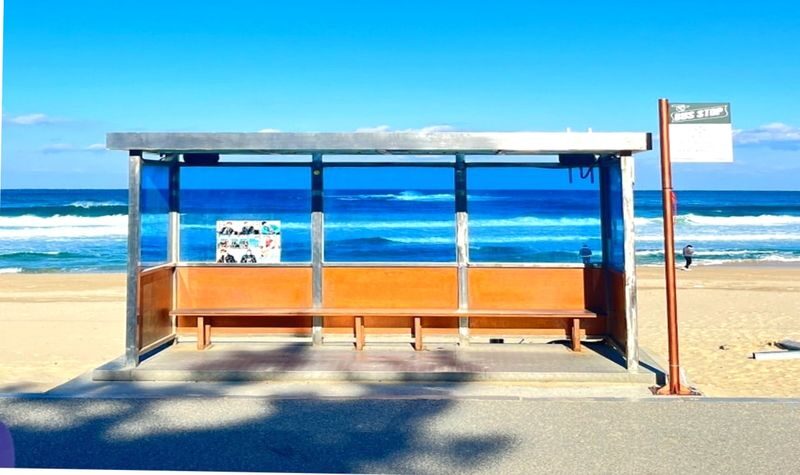 A 1day tour of Glowing Gangneung - From Seoul to the East Sea