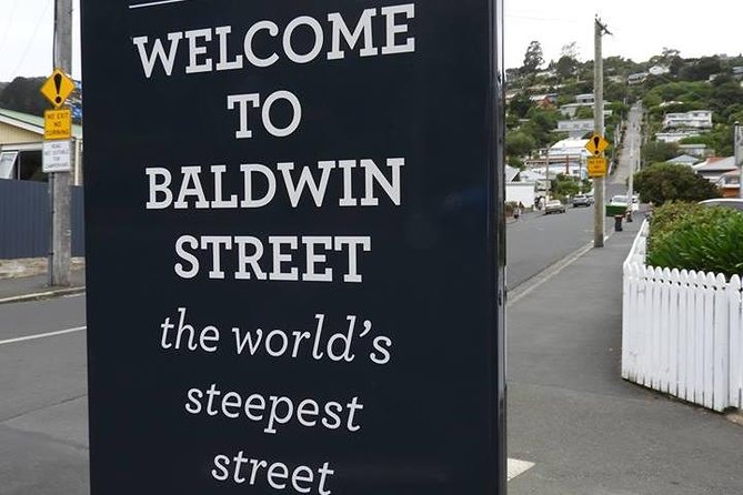 A 2 Hour Small Group Dunedin City Highlights Tour - Whats Included
