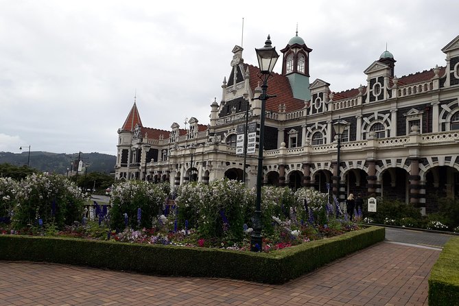 A 2 Hour Small Group Dunedin City Highlights Tour - The Sum Up