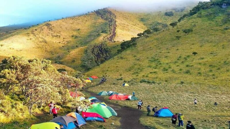 A 2D1N Camping Hike and Tour of Mt. Merbabu and Borobudur - Exploring the Details of the 2D1N Camping Hike and Tour