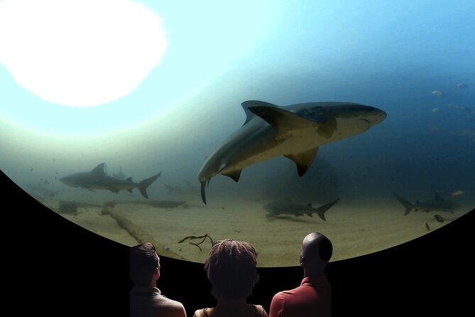 A 360 Immersive Ocean Movie Experience (Catalina Island) - Cinematic Features and Visuals