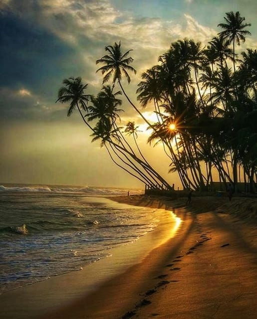 A Beach Break: From Hill Country to Arugambay - Beach Activities in Arugambay