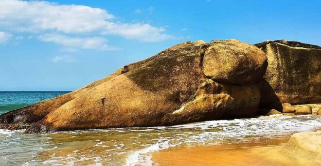 A Beach Break: From Hill Country to Arugambay - Culinary Delights