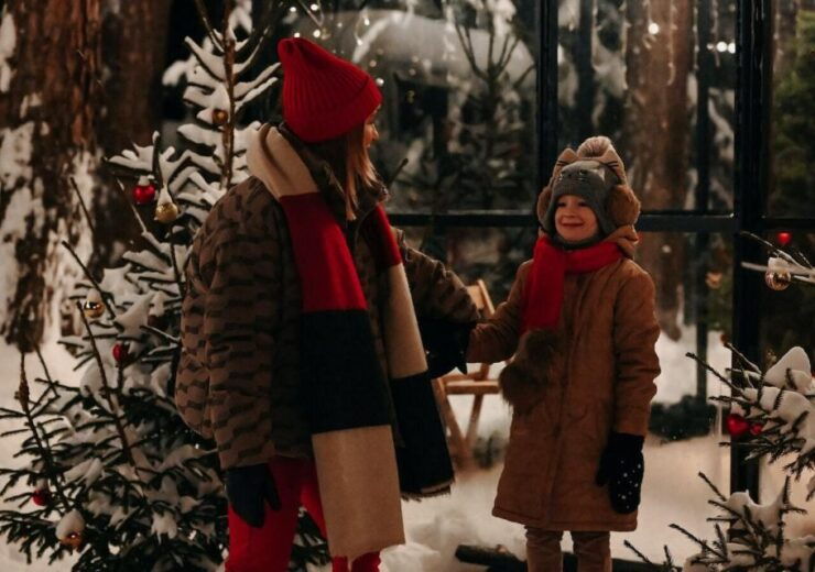 A Bostonian Christmas Tour - Festive Bostonian Christmas Tour Overview