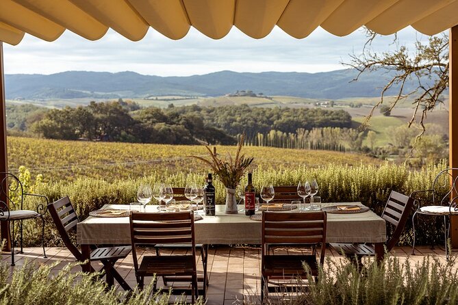 A Brunello Cooking Class With Vineyards View Winery - The Sum Up