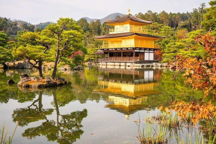 A Classic 11 Day Japan Holiday by Wonderful Holidays UK - A guided start in Tokyo, then room to roam