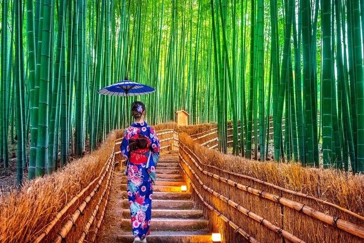 A Classic 11 Day Japan Holiday by Wonderful Holidays UK - Osaka’s castle, skyline and neon