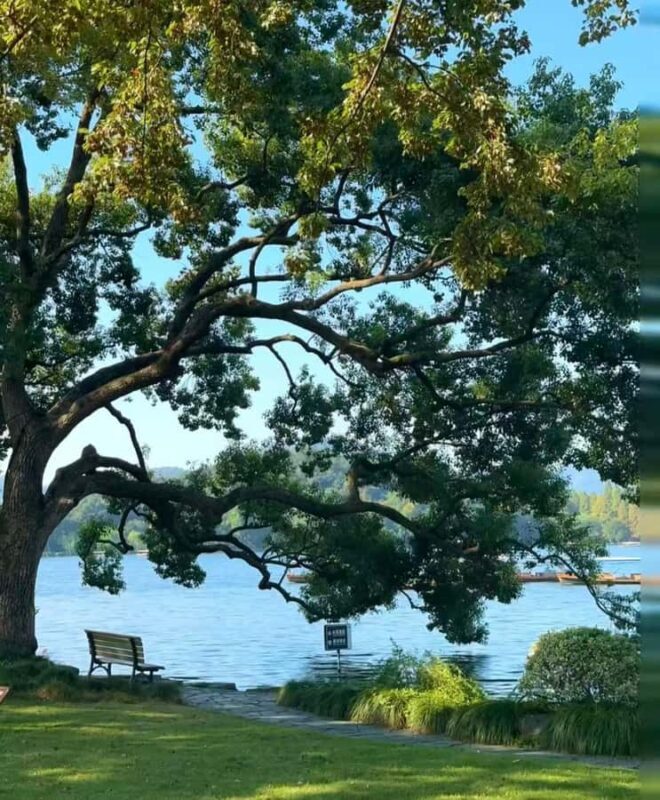 A classic half-day cruise on West Lake - What to Expect from the Tour