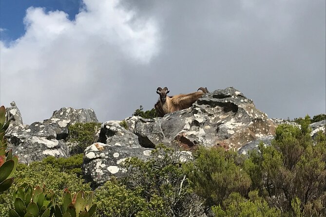 A Classic ! India Venster Hike - Trail Difficulty