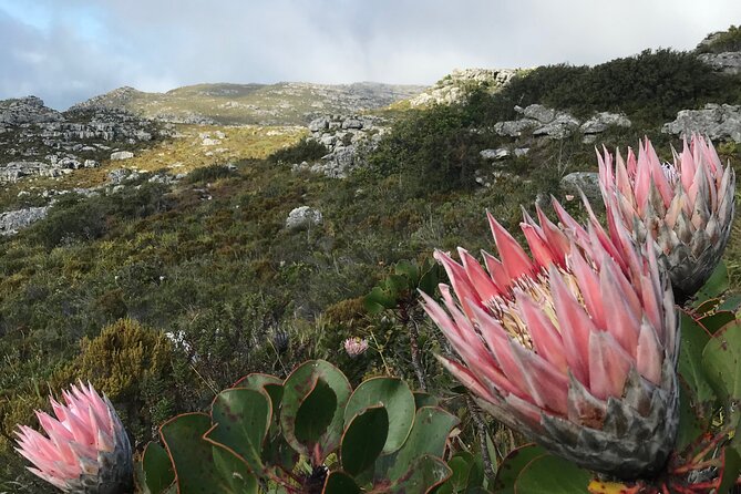A Classic ! India Venster Hike - Trail Highlights