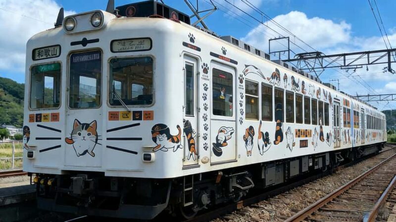 A Classic One-Day Tour from Kansai to Wakayama Prefecture - Good To Know