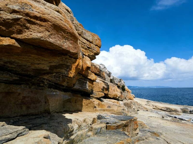 A Classic One-Day Tour from Kansai to Wakayama Prefecture - Who Will Love This Tour?