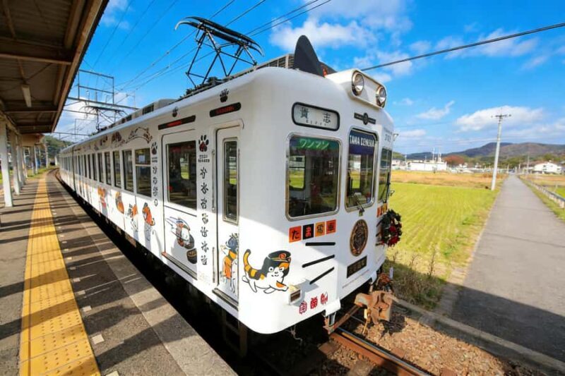 A Classic One-Day Tour from Kansai to Wakayama Prefecture - Good To Know