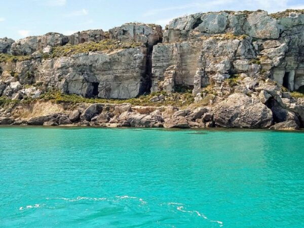 A Coffee Togheter, Some Advice and Favignana Levanzo Cruise - Highlights and Inclusions