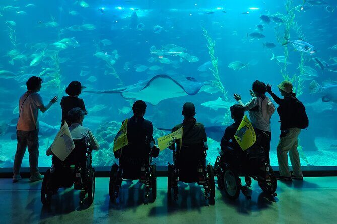 A comfortable wheelchair trip & east of Jeju - Good To Know