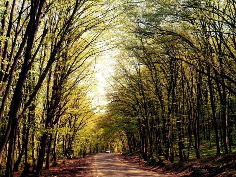 A Culinary Journey Through History and Nature - Who Will Love This Tour?