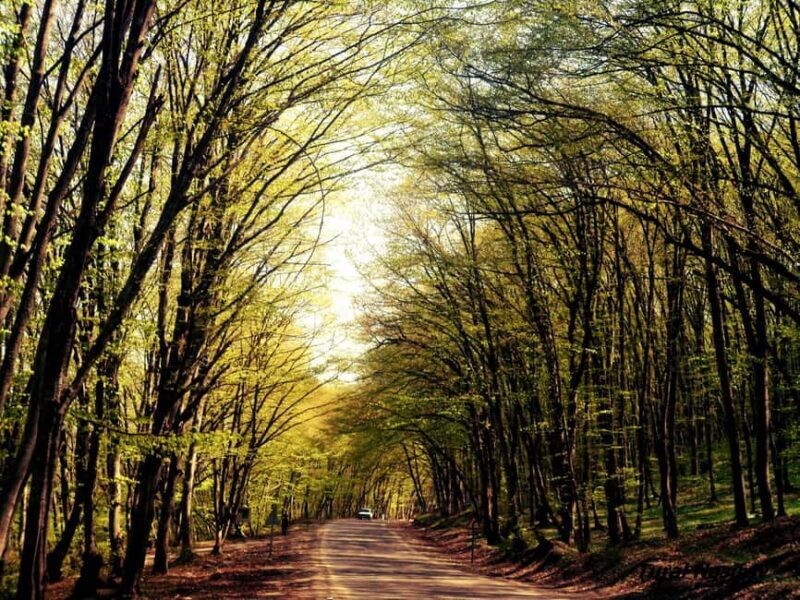 A Culinary Journey Through History and Nature - Who Will Love This Tour?