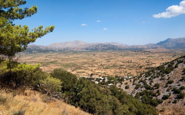 A Culinary Journey to Lassithi Plateau. From Heraklion. - Discovering the Charm of Lassithis Hidden Gems