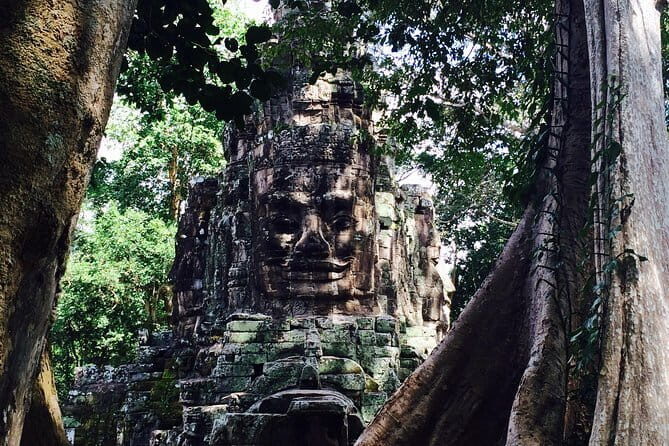 A Day Angkor Park Tours - Private English Speaking Tour Guide - Overview of the tour experience