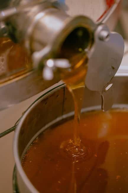 A day as a beekeeper: an adventure among mountains and nature - FAQs