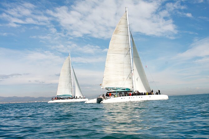 A Day at Sea From Dénia or Jávea With Barbecue Aboard the Catamaran - Cancellation Policy