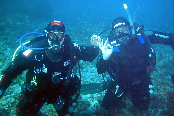 A Day at the Beach and Diving - Overview and Booking Details