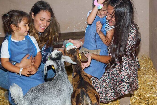 A day at the farm - A day at the farm: An authentic rural experience in Gran Canaria