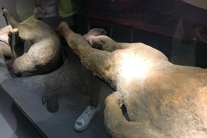 A Day at the Museum - Natural History Museum London - Date and Travelers