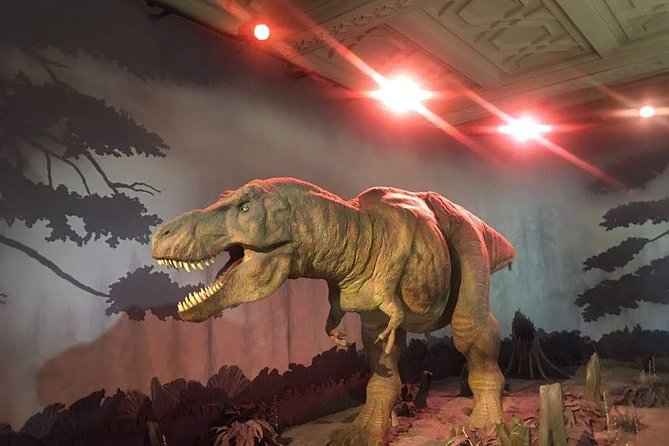 A Day at the Museum - Natural History Museum London - Common Questions