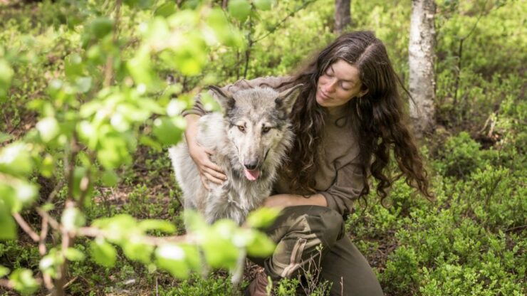 A Day at Wolfland - Highlights of the Day