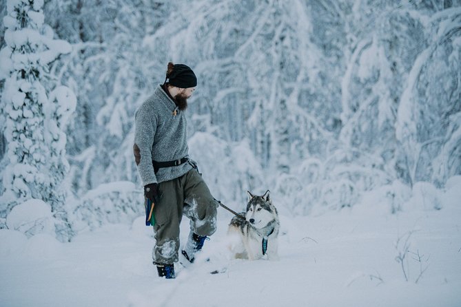 A Day At Wolfland - Overview and Whats Included