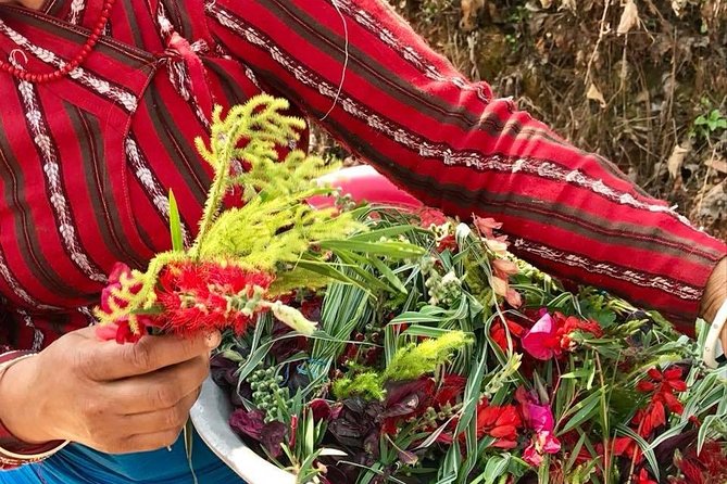 A Day Chapakot Hiking From Pokhara - Cancellation Policy and Refund Details