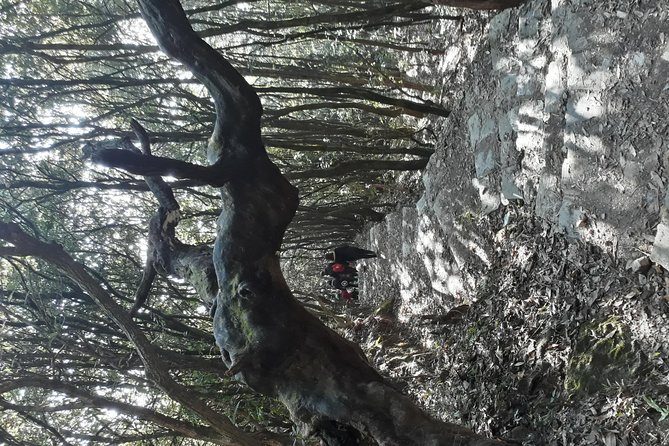 A Day Hike From Kathmandu to Bagadwaar - Tour Details