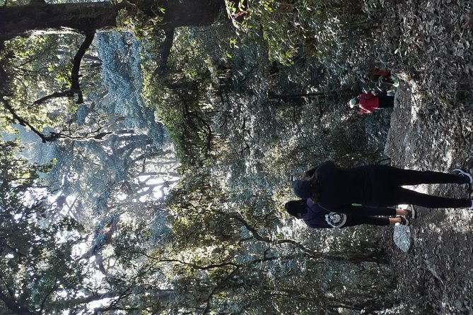 A Day Hike From Kathmandu to Bagadwaar - Reviews
