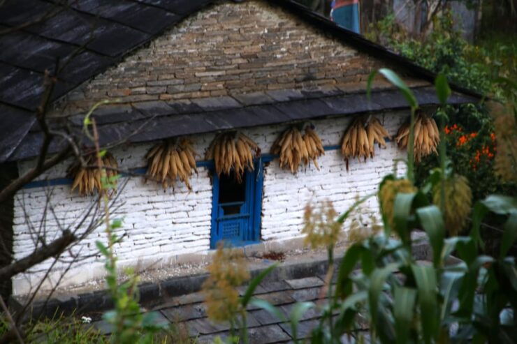 A Day Hike From Pokhara - Scenic Highlights