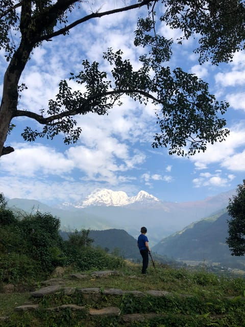 A Day Hike From Pokhara - Essential Inclusions