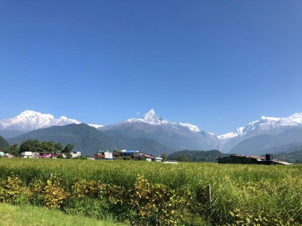 A Day Hike From Pokhara - Cancellation Terms