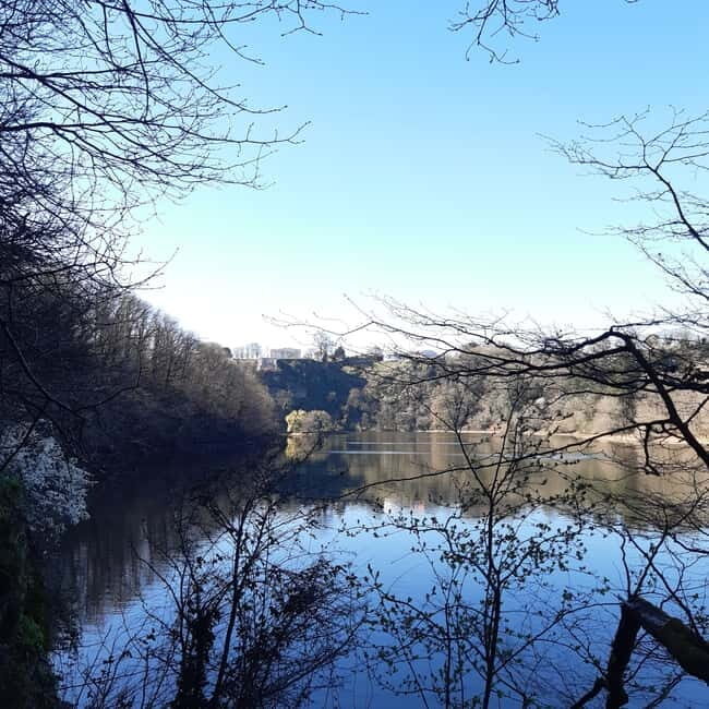 A Day Hike in Mervent Forest (Vendée) - Good To Know