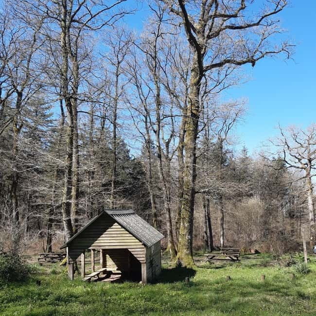 A Day Hike in Mervent Forest (Vendée) - Why This Tour Offers Good Value
