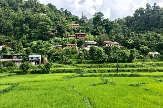 A Day Hike Long Bridge, Armala And Mauja - Meeting and Pickup