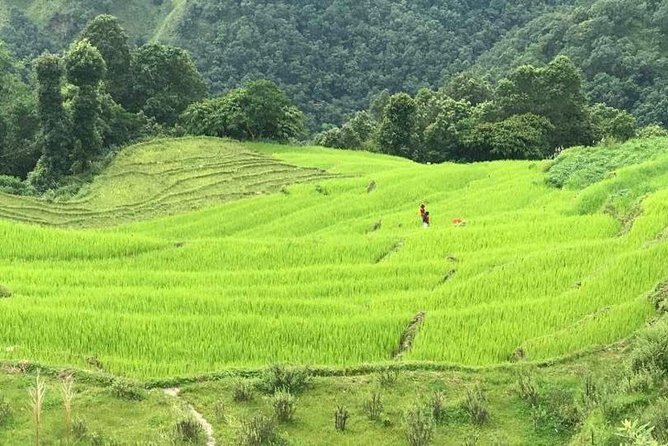A Day Hike Long Bridge, Armala And Mauja - The Sum Up