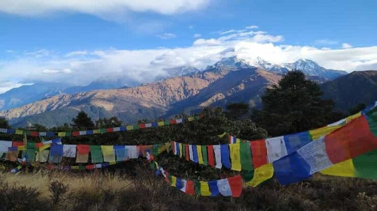 A Day Hiking From Kathmandu: Phulchowki Hill - Key Points