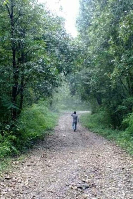 A Day Hiking From Kathmandu: Phulchowki Hill - Wildlife and Flora