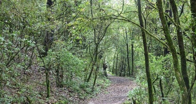 A Day Hiking From Kathmandu: Phulchowki Hill - Important Considerations