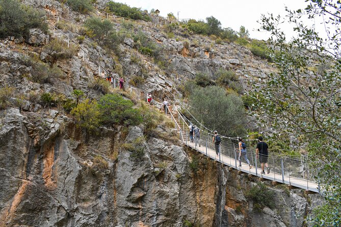 A Day in Chulilla, the Turia River Canyon and the Hanging Bridges - Wildlife and Nature Spotting