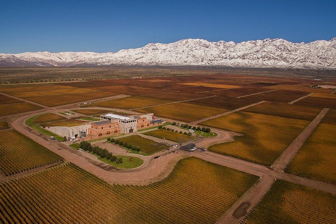 A Day in “Clos De Los Siete”: - Wine Tasting Experience