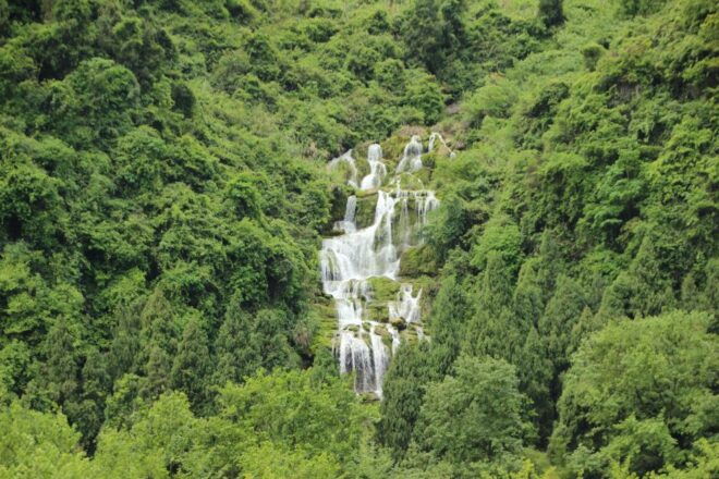 A Day in Munnar: Nature, Culture, and Local Flavor - Kerala-Style Regional Lunch