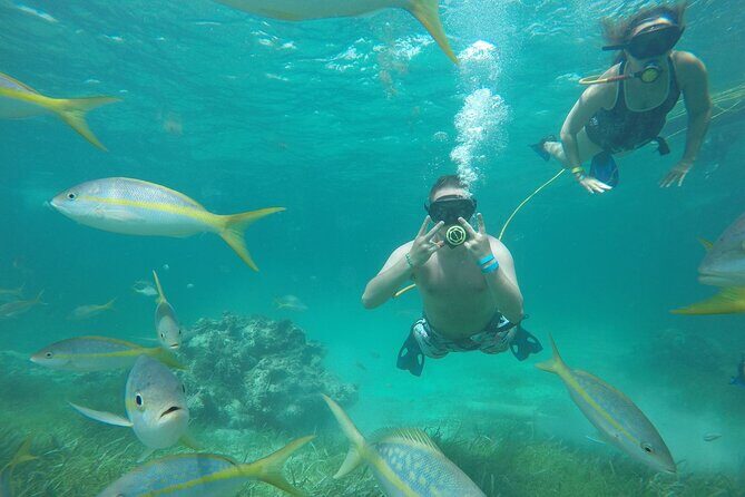 A Day in Paradise All In One Punta Cana Experience - Who Is This Tour Best For?